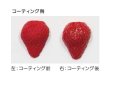 画像2: (ka24) 粘土作品 コーティング用 UVレジン UVレジンコート 30g 遮光ボトル入り クレイ クラフト ねんど (2)